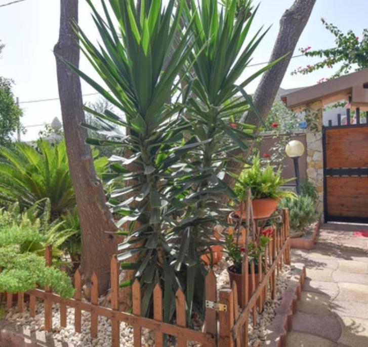 Casa Di Alice A 250 Metri Dal Mare Villa Noto Esterno foto