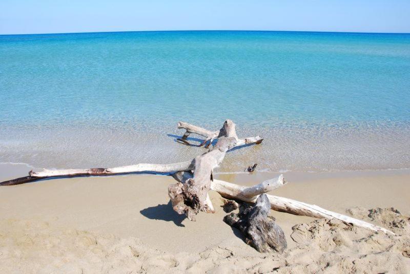 Casa Di Alice A 250 Metri Dal Mare Villa Noto Esterno foto