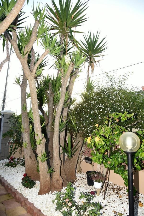 Casa Di Alice A 250 Metri Dal Mare Villa Noto Esterno foto